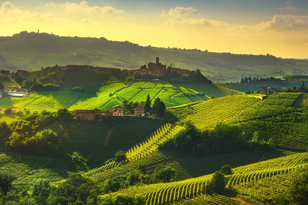 You are currently viewing Exclusive Piedmont, Italy’s Wine Region