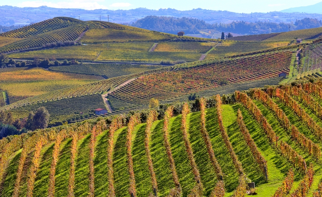 Piedmont Private Tours